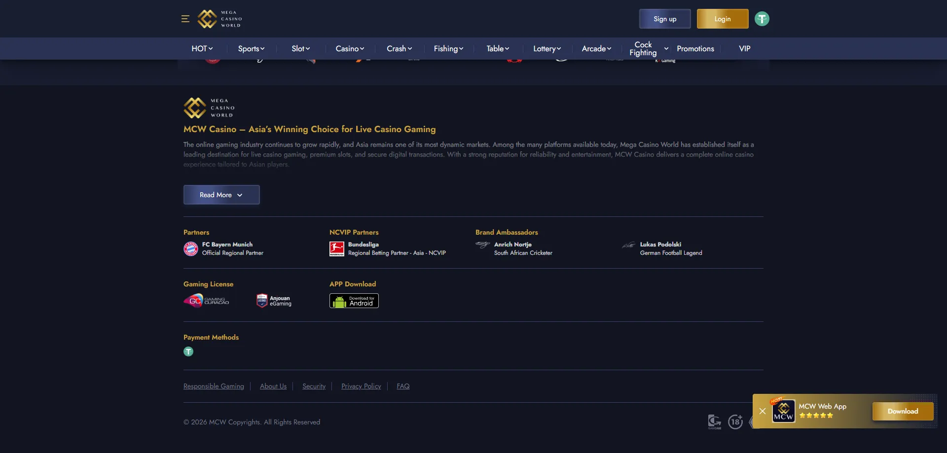 Mcw Mega Casino Bangladesh payment methods bKash Nagad Rocket deposit withdrawal